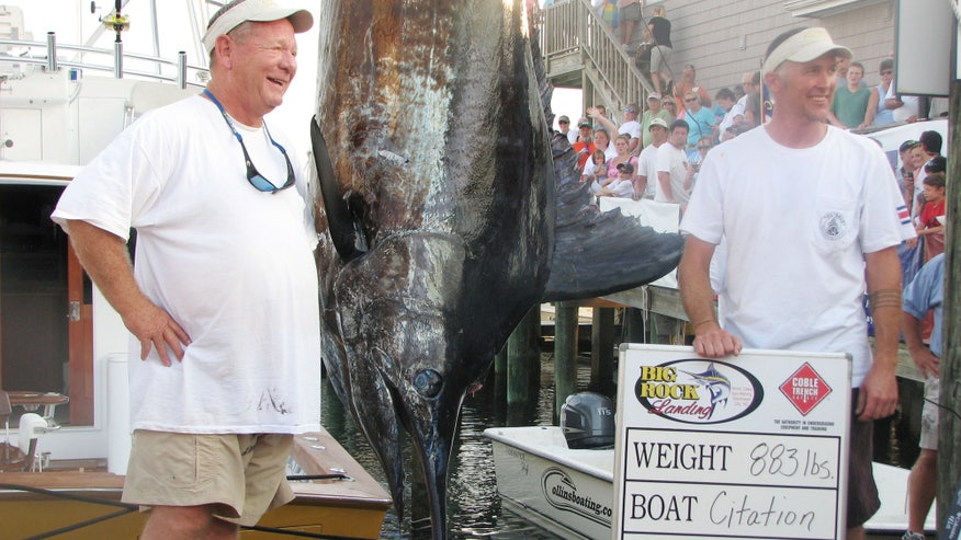 Big Fish Prize1.jpg
